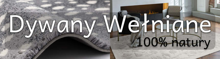 Dywany wełniane z najlepszych polskich fabryk Agnella, Dywilan